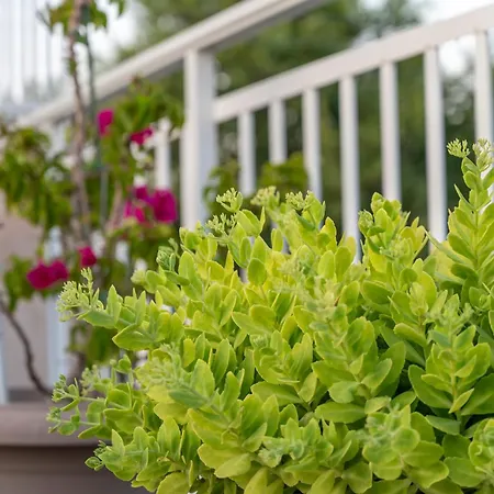 アパート Stamatia *